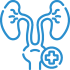 urology (1)
